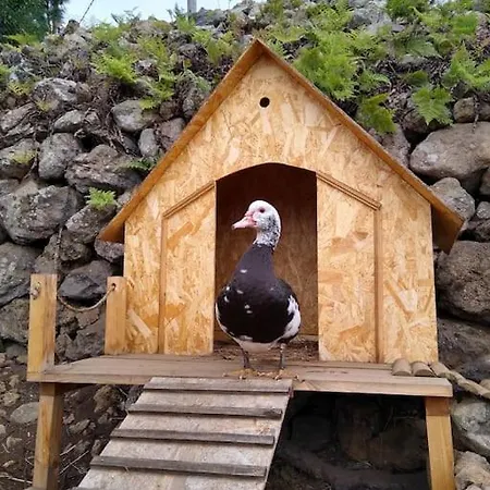 Huertos Conect With The Nature & Relax Icod De Los Vinos