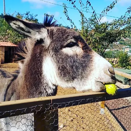 Huertos Conect With The Nature & Relax Vakantiehuis