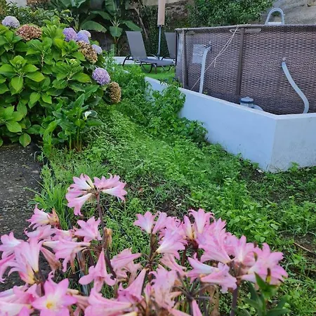 Huertos Conect With The Nature & Relax Icod De Los Vinos