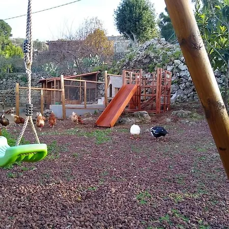 Huertos Conect With The Nature & Relax Tatil Evi Icod De Los Vinos