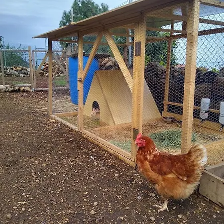 Huertos Conect With The Nature & Relax * Icod De Los Vinos