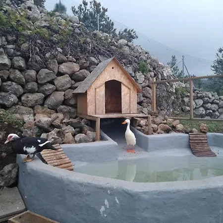 Huertos Conect With The Nature & Relax *