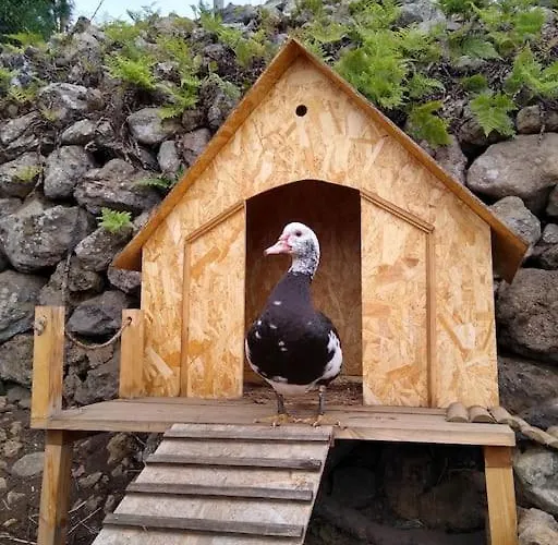 Huertos Conect With The Nature & Relax Икод-де-лос-Винос