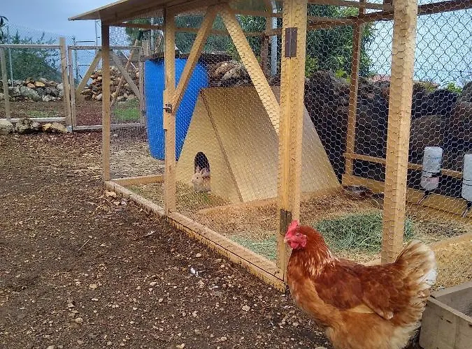 Huertos Conect With The Nature & Relax * 이코드레로스비노스