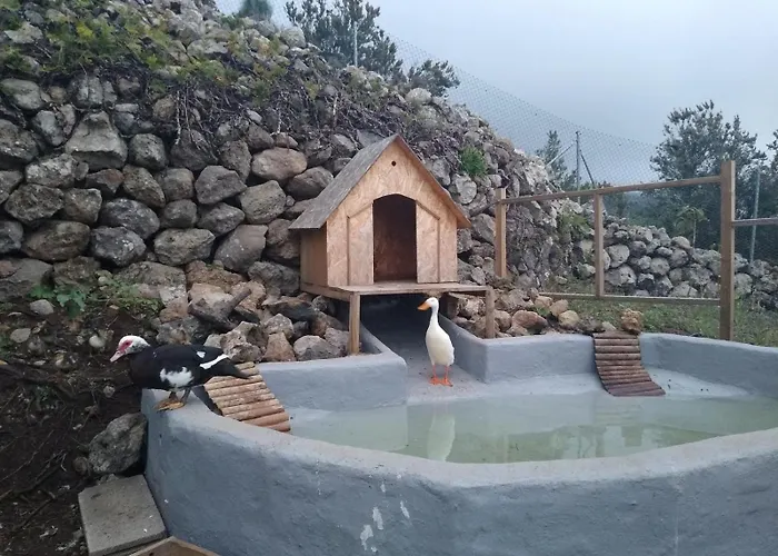 Huertos Conect With The Nature & Relax *