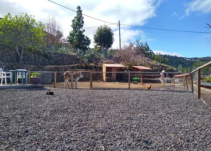 펜션 Huertos Conect With The Nature & Relax 이코드레로스비노스