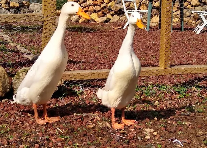 Huertos Conect With The Nature & Relax Дом отдыха *