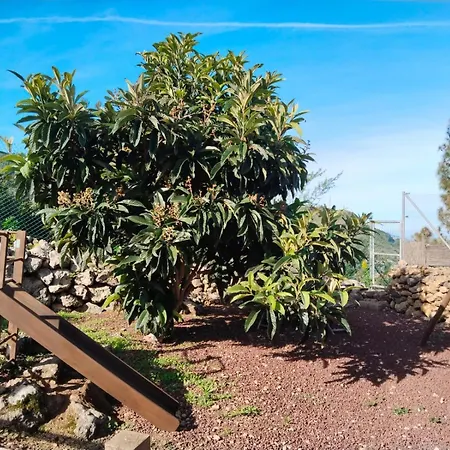 Huertos Conect With The Nature & Relax Ferienhaus Icod De Los Vinos