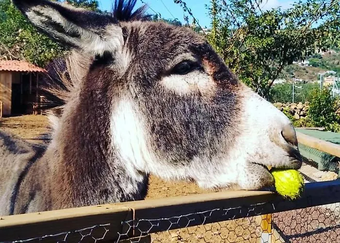 Huertos Conect With The Nature & Relax Ferienhaus